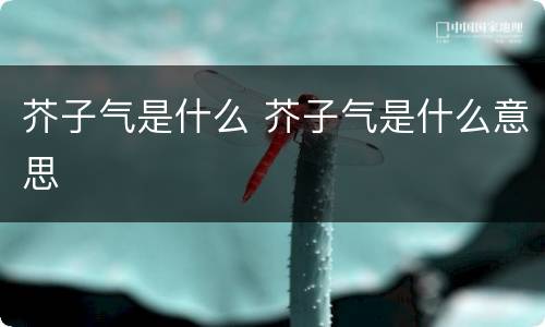 芥子气是什么 芥子气是什么意思