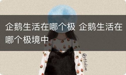 企鹅生活在哪个极 企鹅生活在哪个极境中
