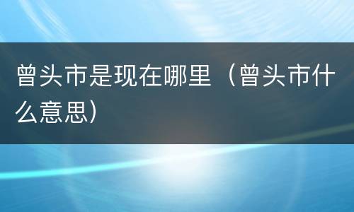 曾头市是现在哪里（曾头市什么意思）