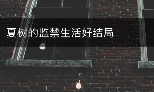 夏树的监禁生活好结局