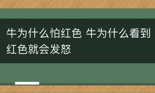 牛为什么怕红色 牛为什么看到红色就会发怒
