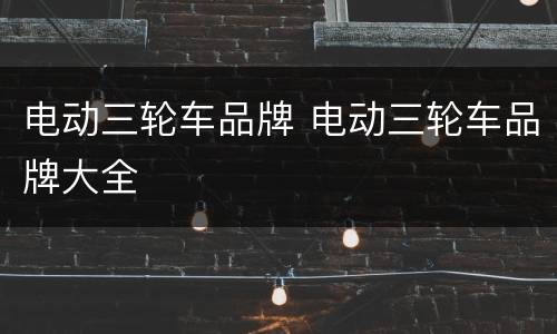 电动三轮车品牌 电动三轮车品牌大全