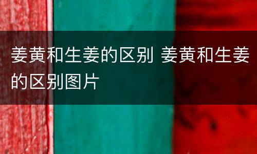 姜黄和生姜的区别 姜黄和生姜的区别图片