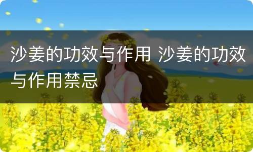 沙姜的功效与作用 沙姜的功效与作用禁忌