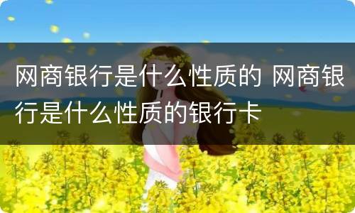 网商银行是什么性质的 网商银行是什么性质的银行卡