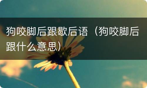 狗咬脚后跟歇后语（狗咬脚后跟什么意思）