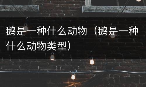 鹅是一种什么动物（鹅是一种什么动物类型）