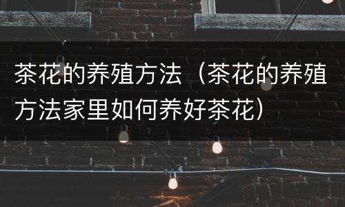 茶花的养殖方法（茶花的养殖方法家里如何养好茶花）
