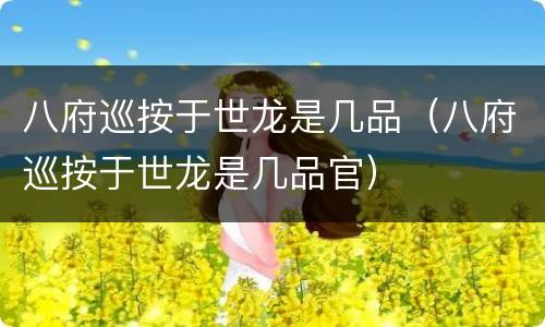 八府巡按于世龙是几品（八府巡按于世龙是几品官）