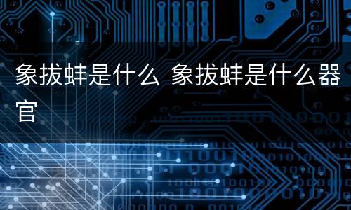 象拔蚌是什么 象拔蚌是什么器官