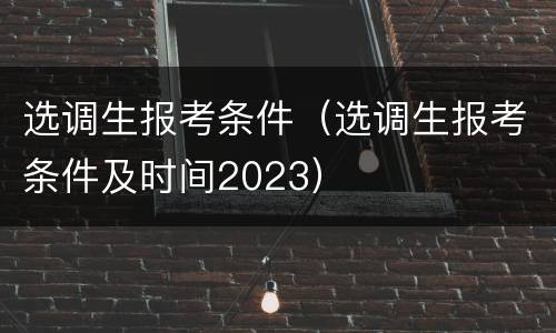 选调生报考条件（选调生报考条件及时间2023）