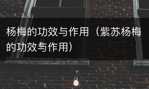 杨梅的功效与作用（紫苏杨梅的功效与作用）