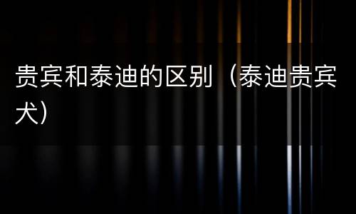 贵宾和泰迪的区别（泰迪贵宾犬）