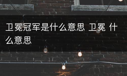 卫冕冠军是什么意思 卫冕 什么意思