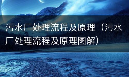 污水厂处理流程及原理（污水厂处理流程及原理图解）