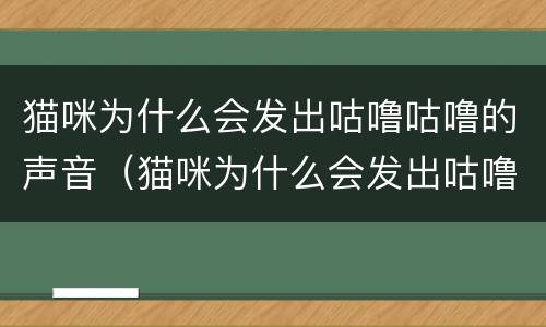 猫咪为什么会发出咕噜咕噜的声音（猫咪为什么会发出咕噜咕噜的声音视频）