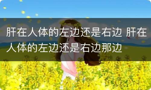 肝在人体的左边还是右边 肝在人体的左边还是右边那边