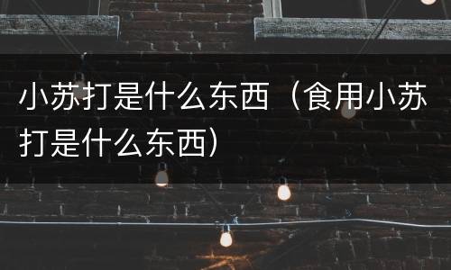 小苏打是什么东西（食用小苏打是什么东西）