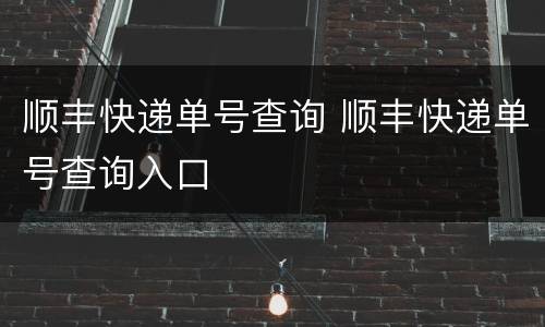 顺丰快递单号查询 顺丰快递单号查询入口