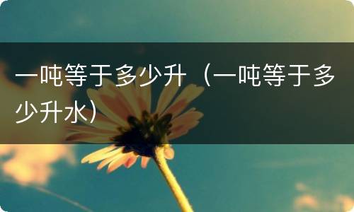 一吨等于多少升（一吨等于多少升水）