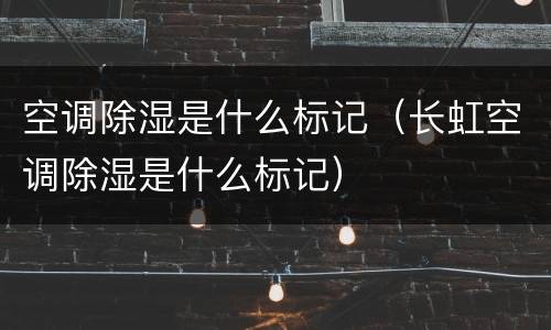 空调除湿是什么标记（长虹空调除湿是什么标记）