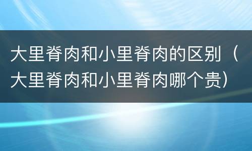 大里脊肉和小里脊肉的区别（大里脊肉和小里脊肉哪个贵）