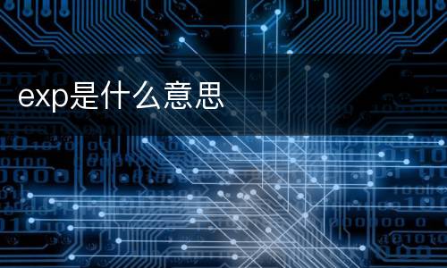 exp是什么意思