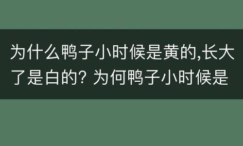为什么鸭子小时候是黄的,长大了是白的? 为何鸭子小时候是黄的,长大了是白的?