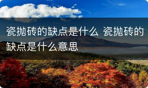 瓷抛砖的缺点是什么 瓷抛砖的缺点是什么意思