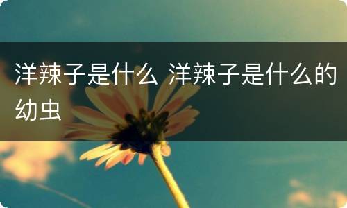洋辣子是什么 洋辣子是什么的幼虫