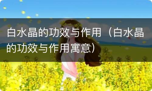 白水晶的功效与作用（白水晶的功效与作用寓意）