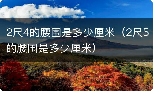 2尺4的腰围是多少厘米（2尺5的腰围是多少厘米）
