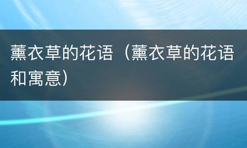 薰衣草的花语（薰衣草的花语和寓意）