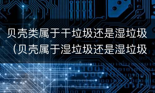 贝壳类属于干垃圾还是湿垃圾（贝壳属于湿垃圾还是湿垃圾）