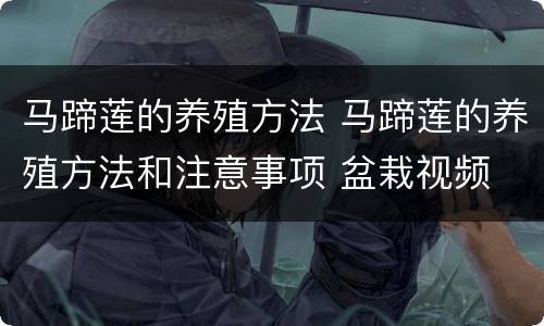 马蹄莲的养殖方法 马蹄莲的养殖方法和注意事项 盆栽视频