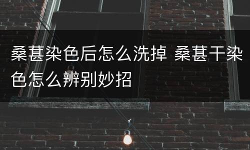 桑葚染色后怎么洗掉 桑葚干染色怎么辨别妙招