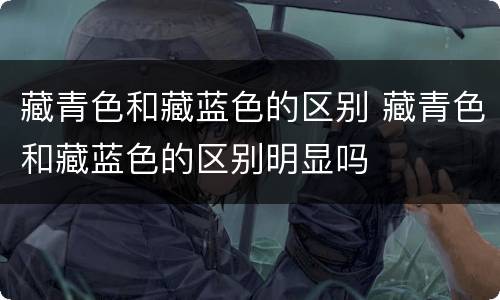 藏青色和藏蓝色的区别 藏青色和藏蓝色的区别明显吗