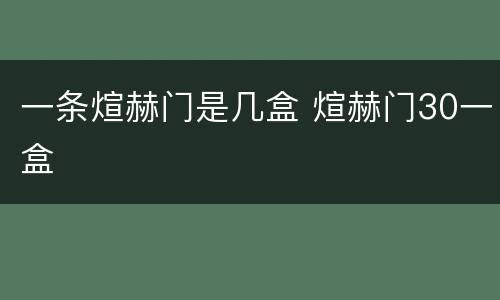 一条煊赫门是几盒 煊赫门30一盒