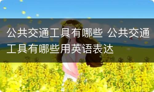 公共交通工具有哪些 公共交通工具有哪些用英语表达