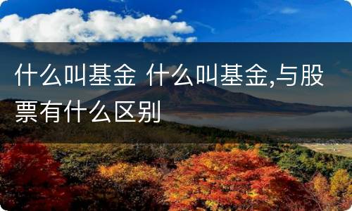 什么叫基金 什么叫基金,与股票有什么区别