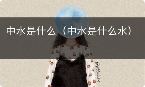 中水是什么（中水是什么水）