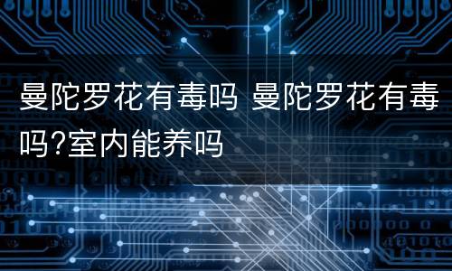 曼陀罗花有毒吗 曼陀罗花有毒吗?室内能养吗