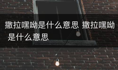 撒拉嘿呦是什么意思 撒拉嘿呦 是什么意思