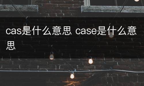 cas是什么意思 case是什么意思