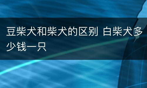豆柴犬和柴犬的区别 白柴犬多少钱一只