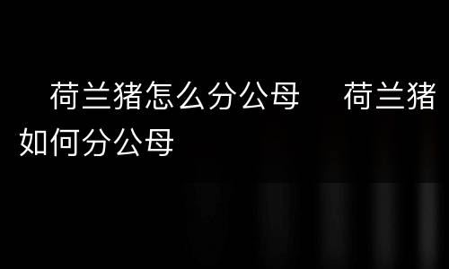 ​荷兰猪怎么分公母 ​荷兰猪如何分公母