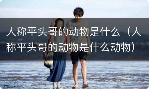 人称平头哥的动物是什么（人称平头哥的动物是什么动物）
