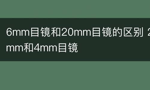 6mm目镜和20mm目镜的区别 20mm和4mm目镜