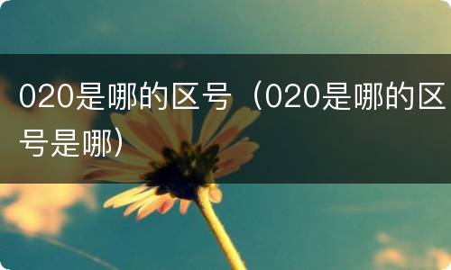 020是哪的区号（020是哪的区号是哪）
