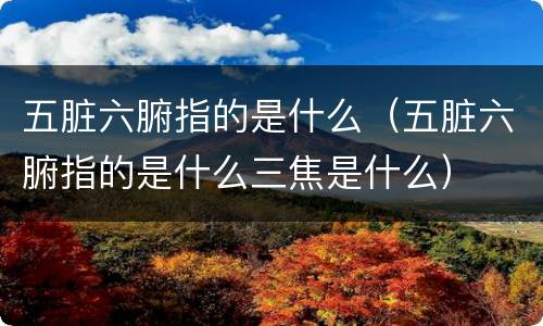 五脏六腑指的是什么（五脏六腑指的是什么三焦是什么）